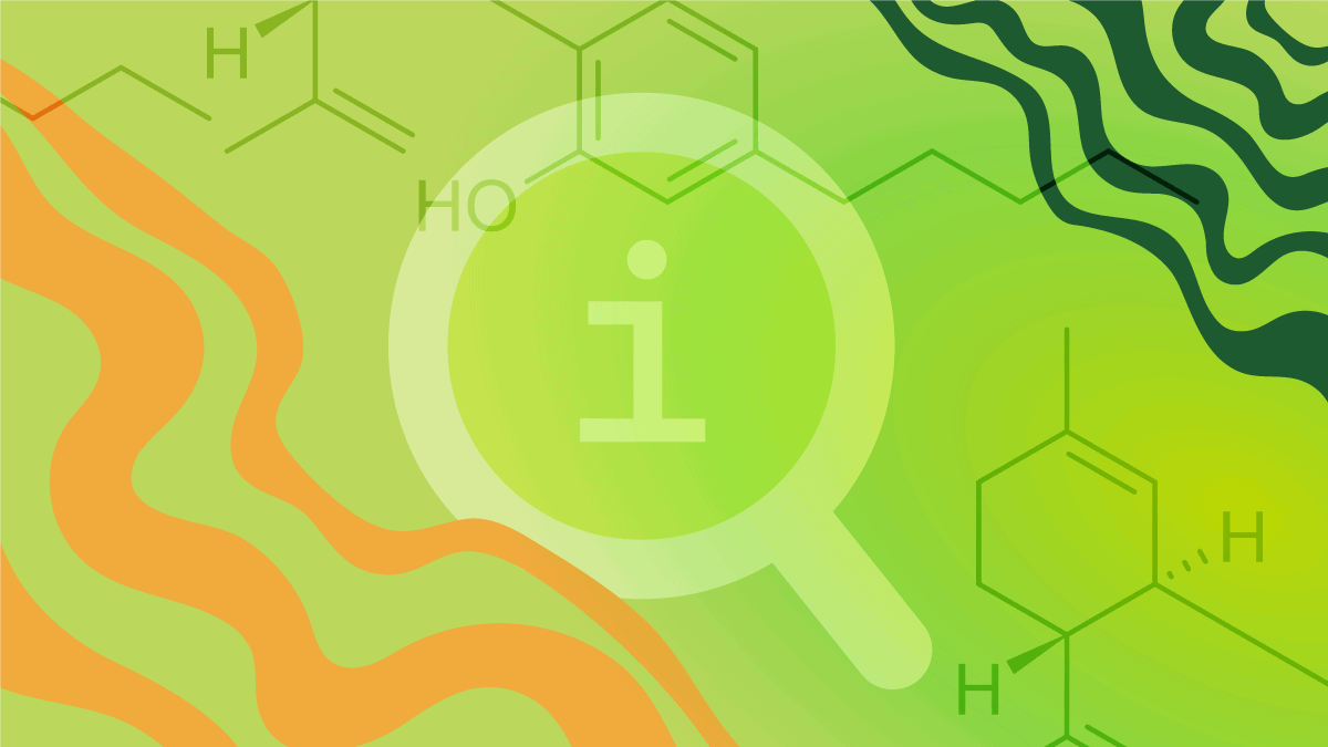 Decoding THC: A Comprehensive Guide to Tetrahydrocannabinol - Siam Green Cannabis Co