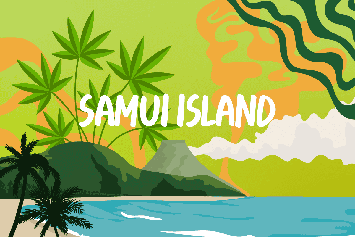 Samui Island illustrated tropical scene with palm trees and cannabis leaves