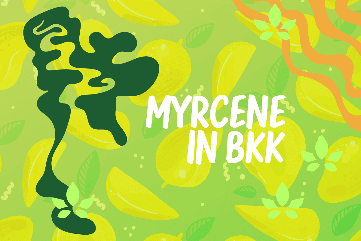 Top 10 Myrcene Cannabis Strains: Where to Buy Weed in Bangkok - Siam Green Cannabis Co