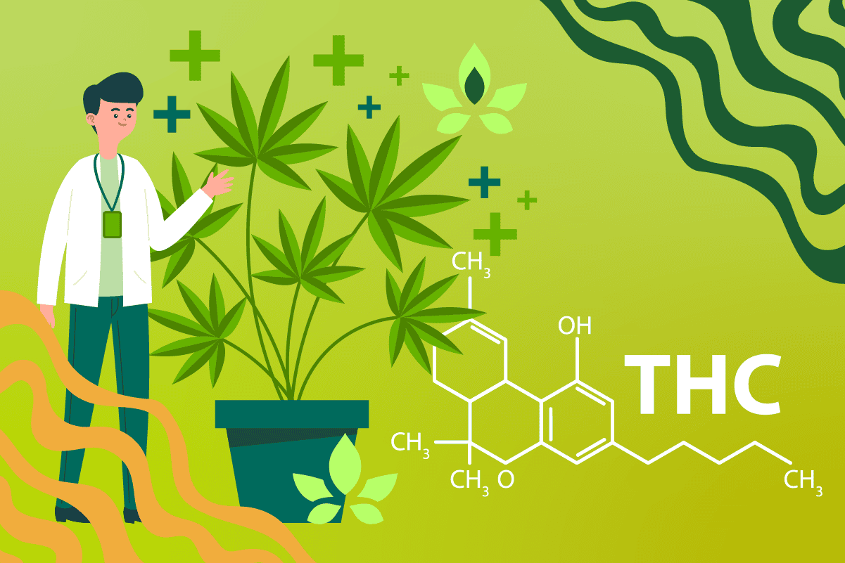 Illustration of doctor with cannabis plant and THC molecular structure
