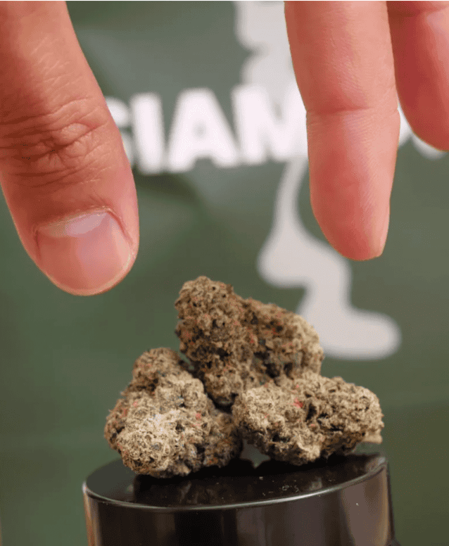 Finding Your Perfect Match: A Beginner’s Guide to Cannabis Strains in Bangkok (3)