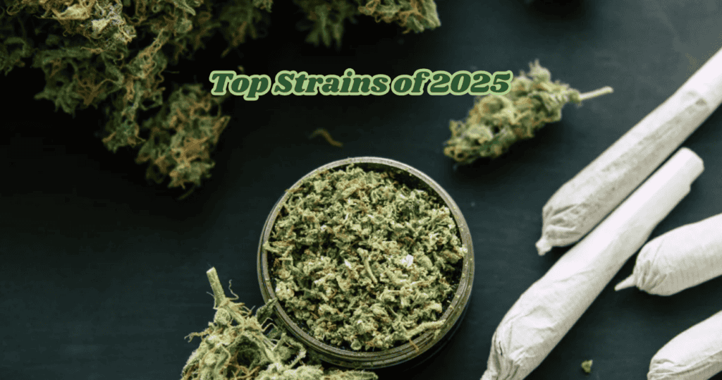 Thailand’s Ultimate Cannabis Guide: Top 7 Strains of 2025