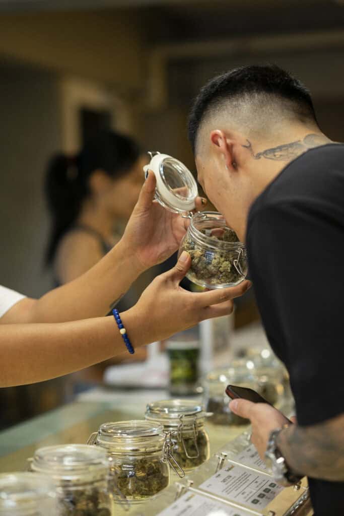 Beyond the Bud: What Truly Makes a World-Class Dispensary?