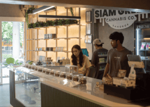 Siam Green Cannabis Nana